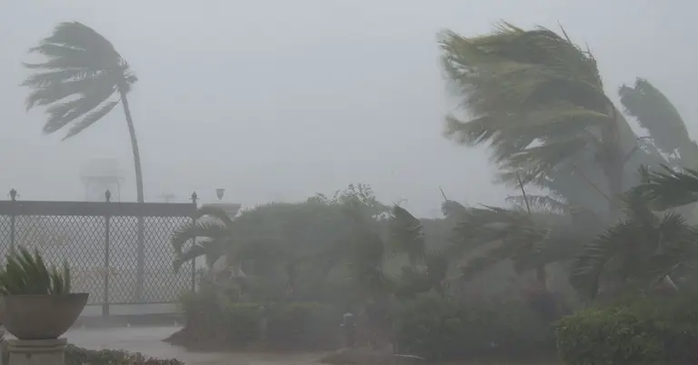 ঝড়ের সময়ের ছবি